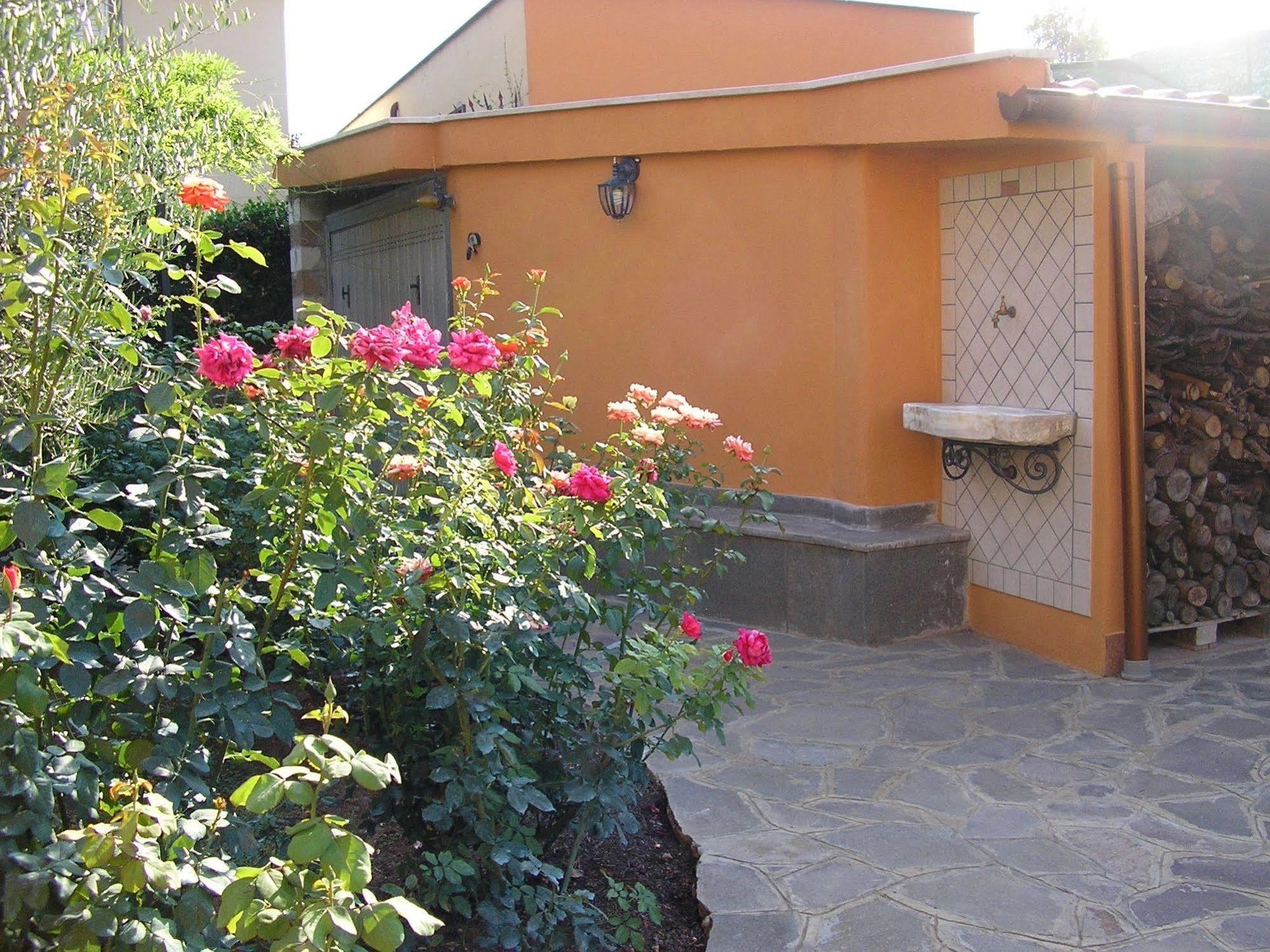 Bed and Breakfast Al Vecchio Olivo Frascati Exterior foto